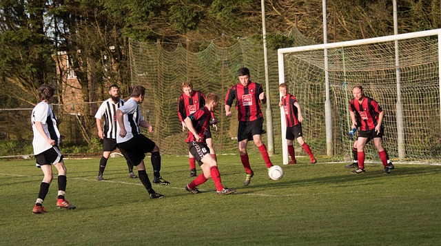 定程度上为 定程度上为